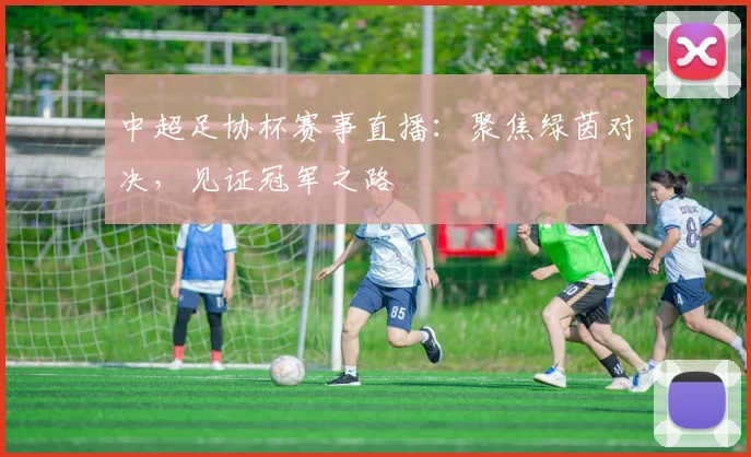 中超足协杯赛事直播：聚焦绿茵对决，见证冠军之路