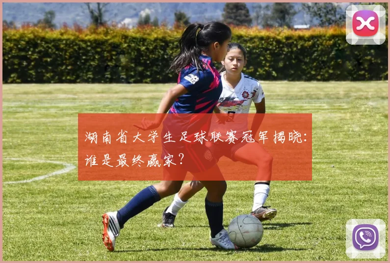湖南省大学生足球联赛冠军揭晓：谁是最终赢家？