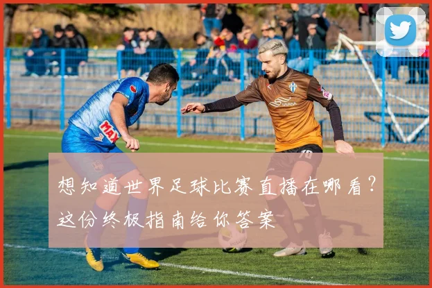 想知道世界足球比赛直播在哪看？这份终极指南给你答案