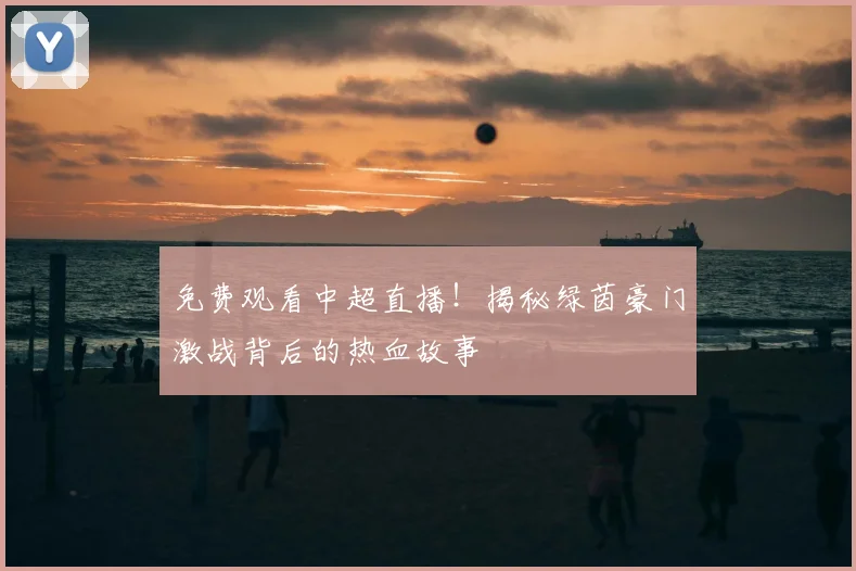 免费观看中超直播!揭秘绿茵豪门激战背后的热血故事