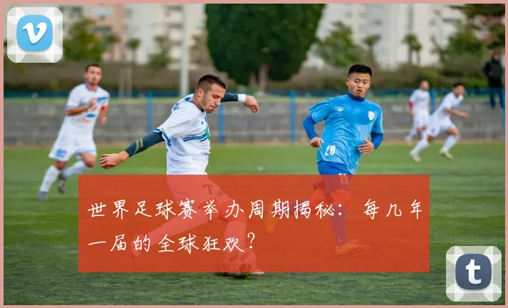 世界足球赛举办周期揭秘：每几年一届的全球狂欢？