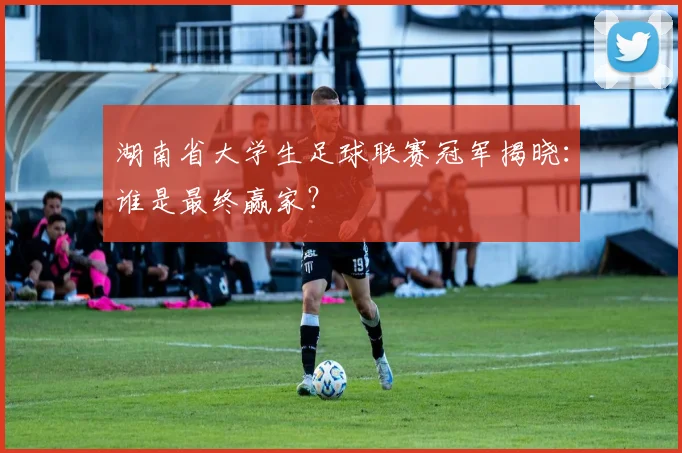 湖南省大学生足球联赛冠军揭晓:谁是最终赢家?