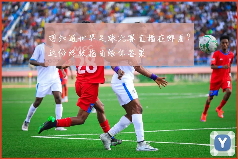 想知道世界足球比赛直播在哪看？这份终极指南给你答案